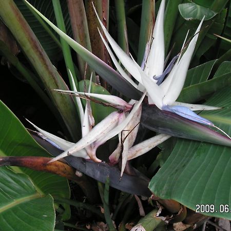 Sokodo-So ฮาจิโจ ภายนอก รูปภาพ