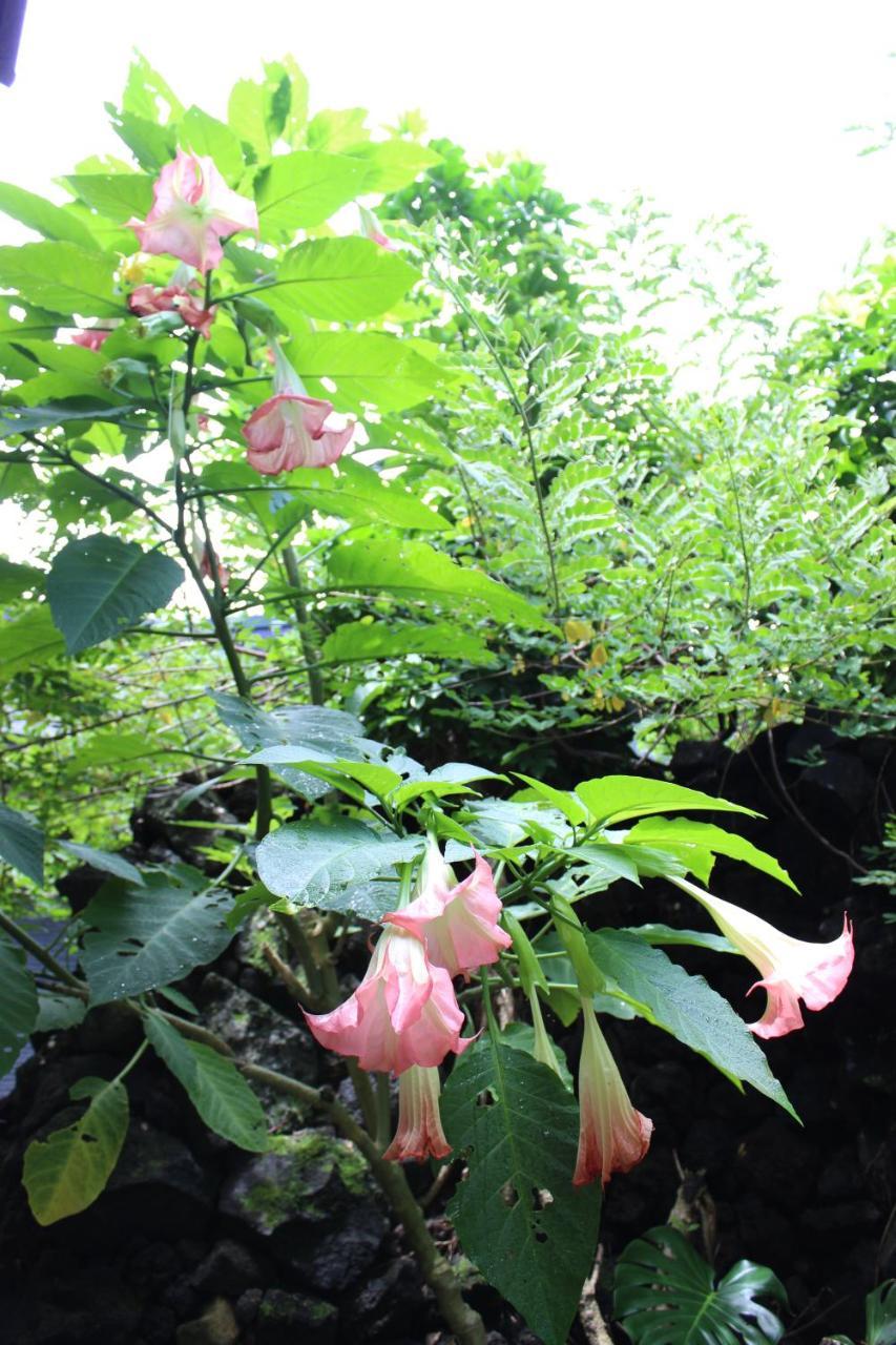 Sokodo-So ฮาจิโจ ภายนอก รูปภาพ