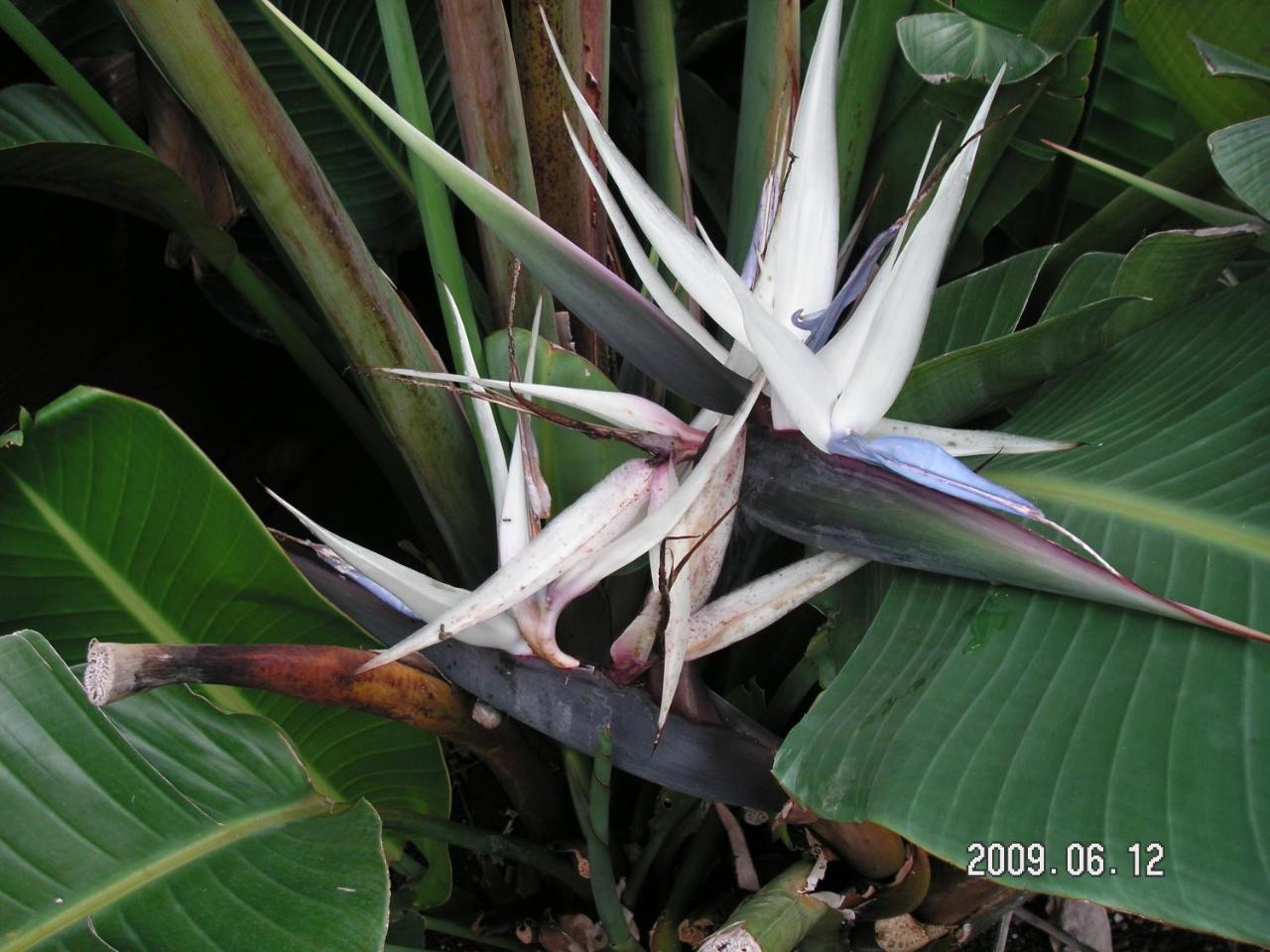 Sokodo-So ฮาจิโจ ภายนอก รูปภาพ